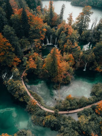 Unsplash ID wI6o8OwUwdw