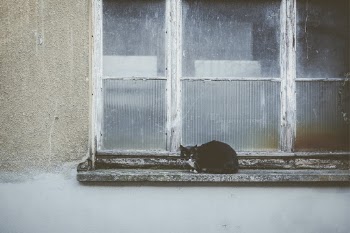 Unsplash ID wIM-ygqCX80