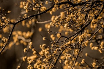 Unsplash ID wJ10sn0mNrM