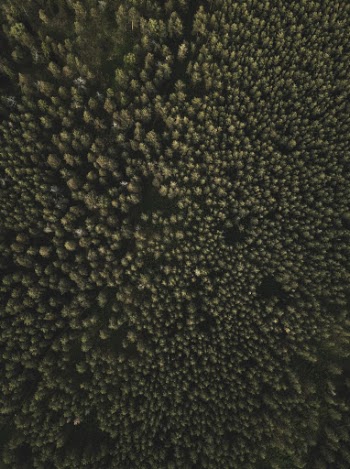 Unsplash ID WjqyWNCYSI8