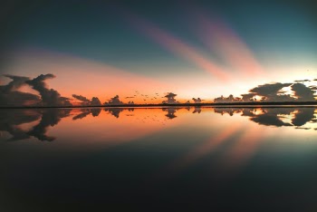 Unsplash ID WMDvr2Av6cA