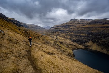 Unsplash ID _wNOEHkqCoo