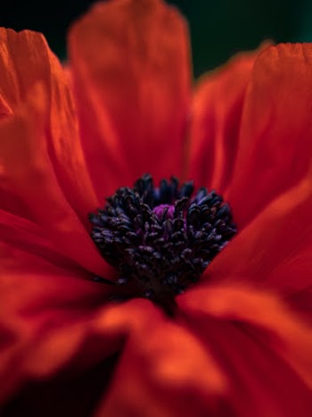 Unsplash ID WNqxmF6vmsc