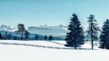 Unsplash ID Wq-HhFHHeSU