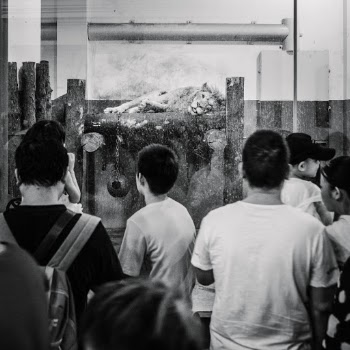 Unsplash ID WqEFya48Iig
