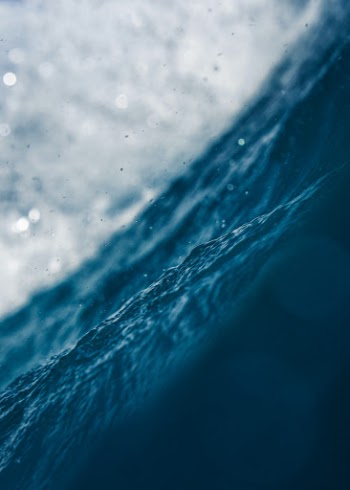 Unsplash ID Wqo3qM-F6p4
