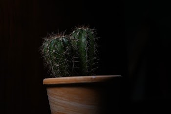 Unsplash ID wrl0_UPI0Hg