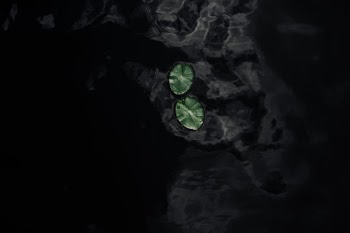 Unsplash ID WRse_m5q_l0
