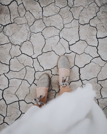 Unsplash ID wS8NrMPScjU