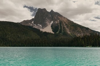 Unsplash ID wShuKvvdfYs