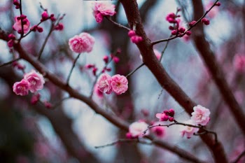 Unsplash ID _WThfbbHnME
