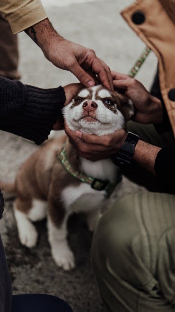 Unsplash ID WtwCwpEM0_I