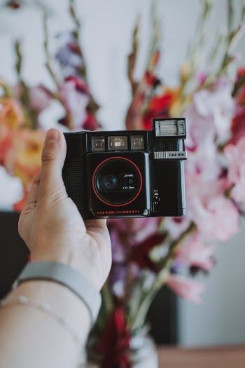 Unsplash ID wUL1Fo1-mwY