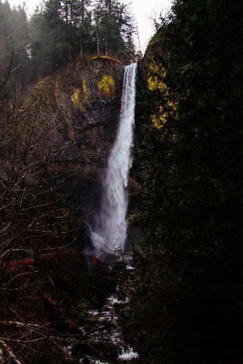 Unsplash ID wvNmRCabsSk