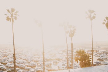Unsplash ID WWw4_pm1wn0