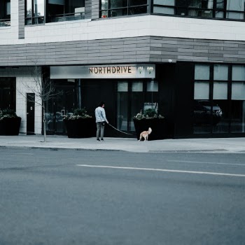 Unsplash ID wx5N2tZulfc