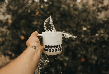 Unsplash ID wyHjUplR-WE