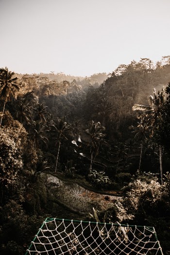 Unsplash ID WYqiyMJyqZw