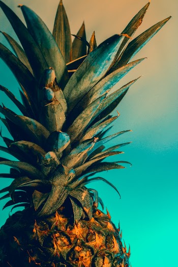 Unsplash ID wZqnkRg1gKc