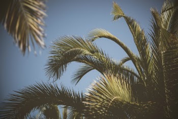 Unsplash ID x-1Tu58tDe0