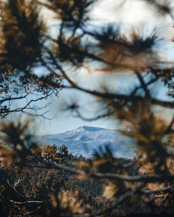 Unsplash ID X2UpqWaE2is