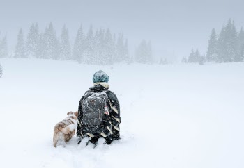 Unsplash ID x2zvGE7abYs