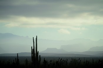 Unsplash ID x7OrZLjYpk4