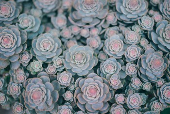 Unsplash ID x9WIHLvqMA0