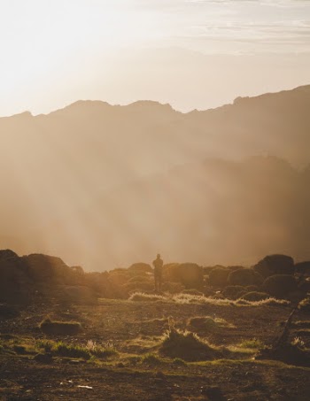 Unsplash ID XaZvUc4g05A