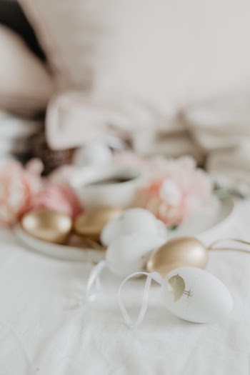 Unsplash ID XBGK-YSsuTw