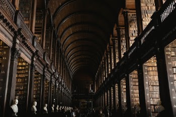 Unsplash ID xBlLcP1H1WY