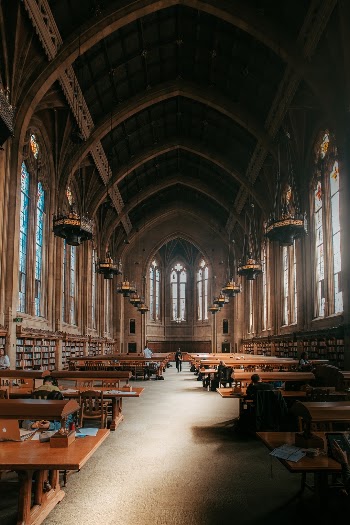 Unsplash ID xBOa3VTGFyU