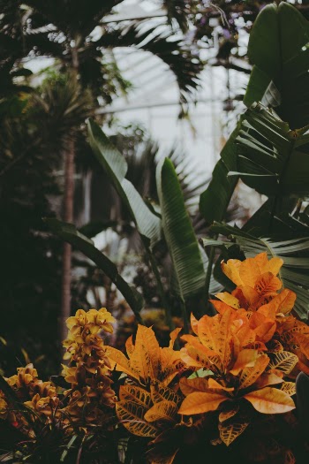 Unsplash ID xBsxXrsTpPE