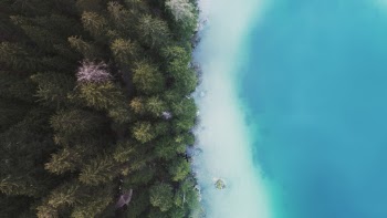 Unsplash ID XCNRMB3CfLc