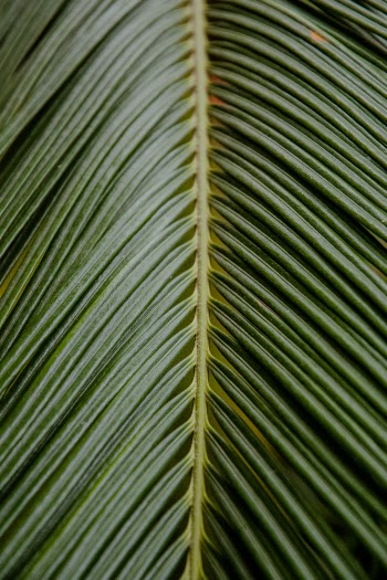 Unsplash ID xdRhYLrRqiU