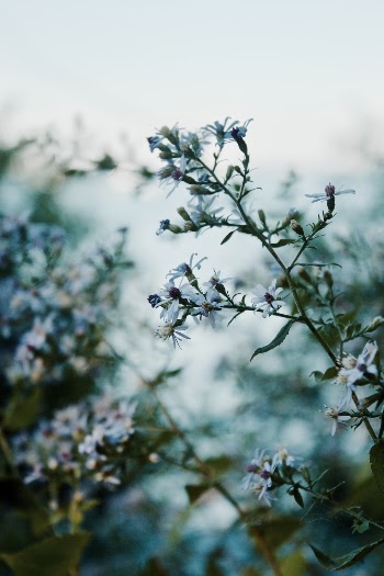 Unsplash ID xdxK5PwIl9Y
