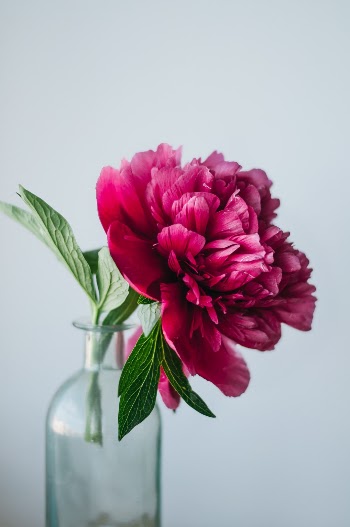 Unsplash ID XEmaJaM-4nE