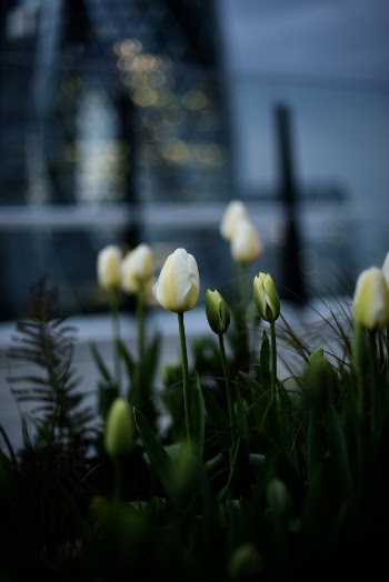 Unsplash ID Xf6JnoD0Hss