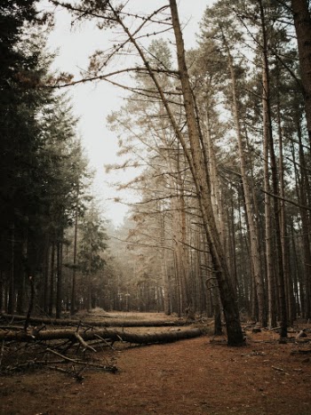 Unsplash ID xFHbXkw3ae0