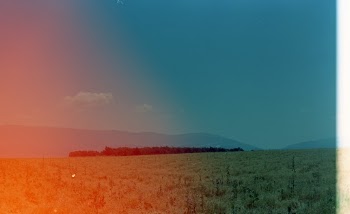 Unsplash ID XGH8gU1YwqA