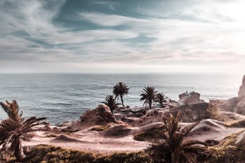 Unsplash ID Xh_yj0ZYKyA
