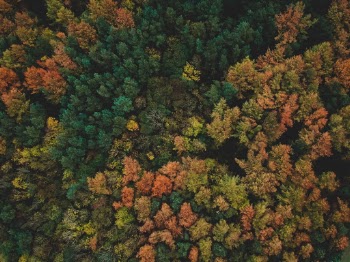 Unsplash ID xHwECOZhmJk