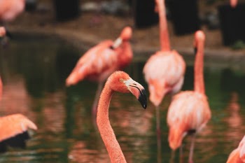 Unsplash ID xHxzkyVE7NU