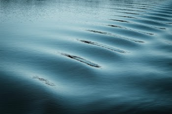 Unsplash ID xi1uWodzJro