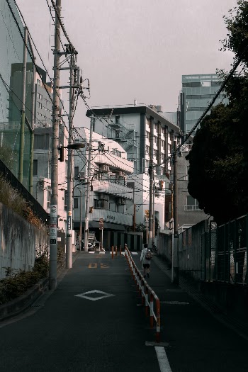 Unsplash ID xkZ5TK2rb8E