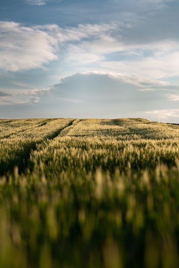 Unsplash ID XlB8pcm3GO4