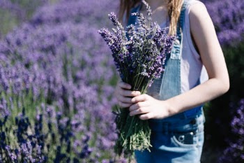 Unsplash ID xM_POb3htcQ