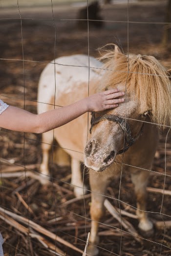 Unsplash ID XMq1ECk4VyU