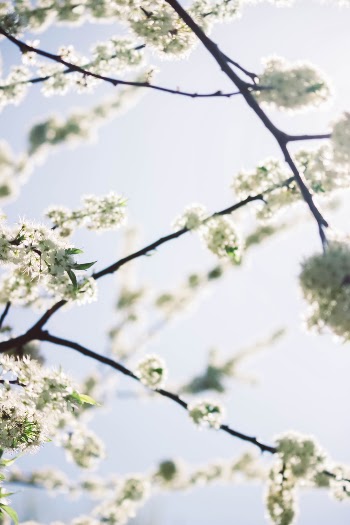 Unsplash ID XoU6wq2aTBU