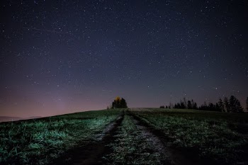 Unsplash ID xp-_O3lp0M0